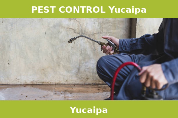 PEST CONTROL Yucaipa